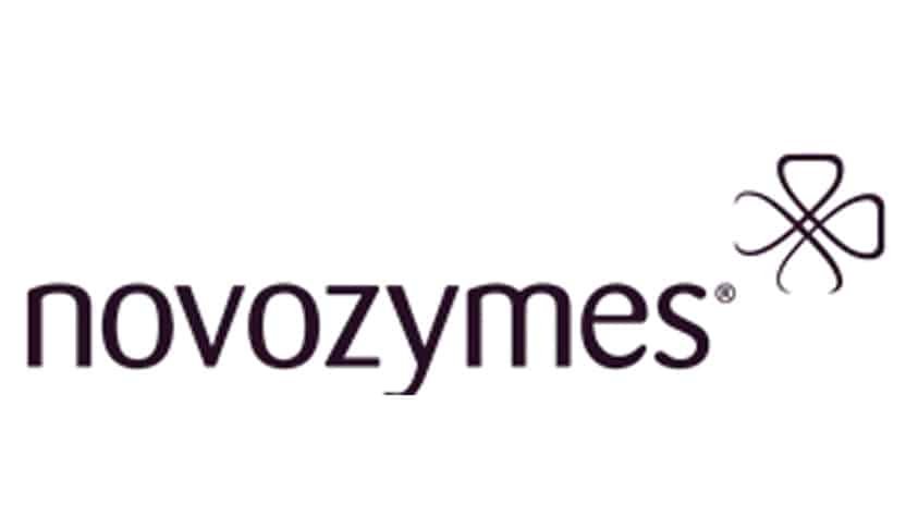 logo novos logo novos